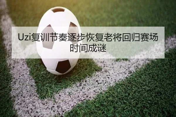 Uzi复训节奏逐步恢复老将回归赛场时间成谜 | 9game