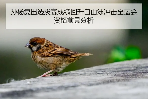 孙杨复出选拔赛成绩回升自由泳冲击全运会资格前景分析 | 9game